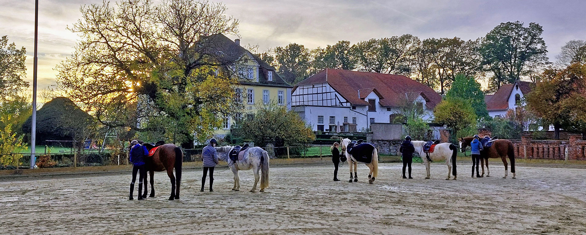 Reitlehrer